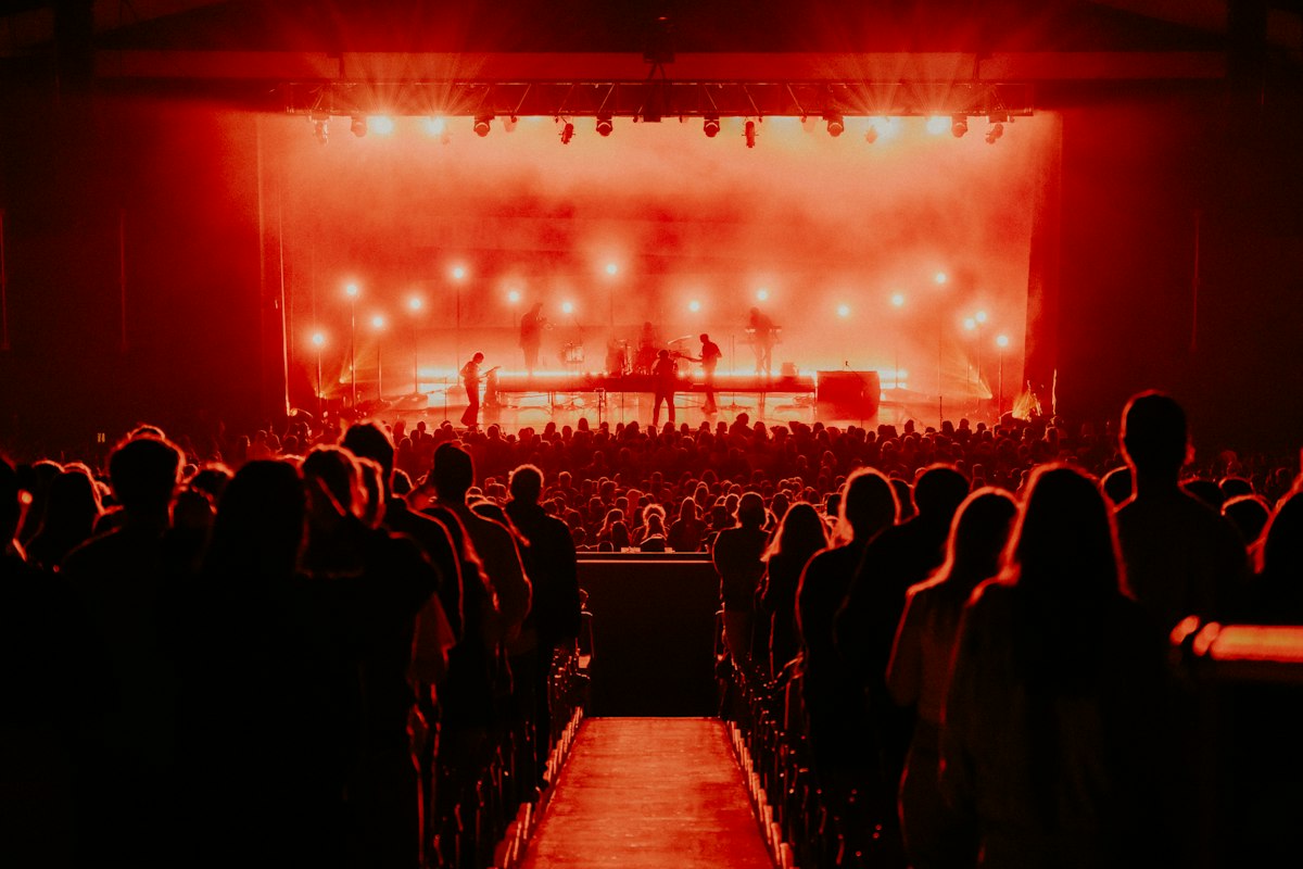 Audience at a live concert